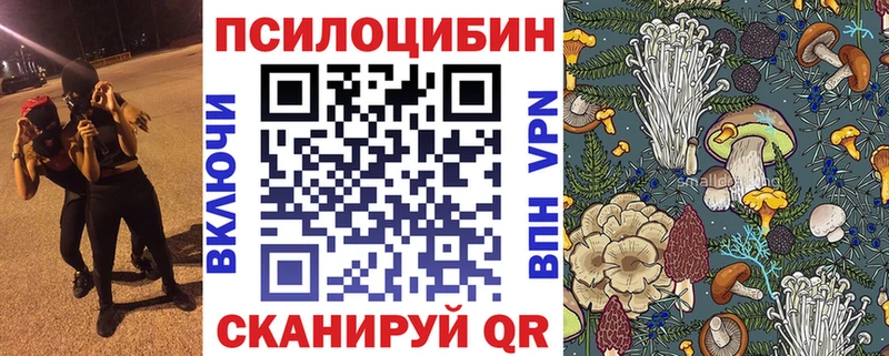 Галлюциногенные грибы GOLDEN TEACHER  купить наркоту  Бокситогорск 